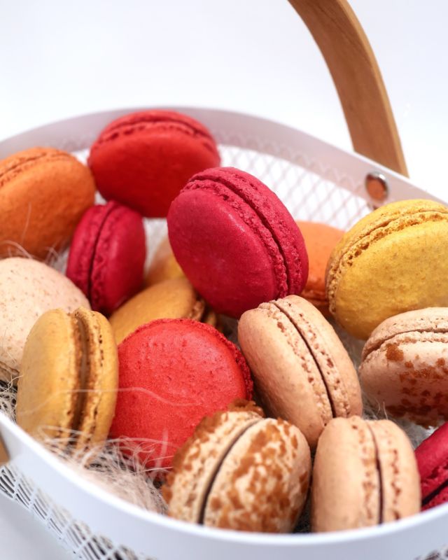 La collection de macarons pour Pâques et pour le printemps 🌼

- abricot
- pêche de vigne
- fraise
- framboise
- citron 
- vanille
- pâte à tartiner 
- spéculos

En coffret de 8-12-18 pièces.
Ou en panier à partager 25 pièces 🧺

#patisserie #pastry #frenchpastry #macaron #macaronlover #printemps #paques #dessertpaques #macarons #spring #springcollection